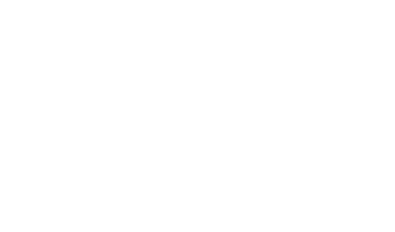 Bruno Castro